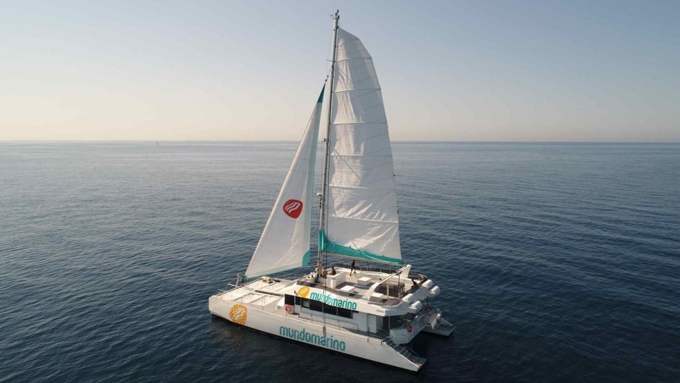 mundo marino excursiones